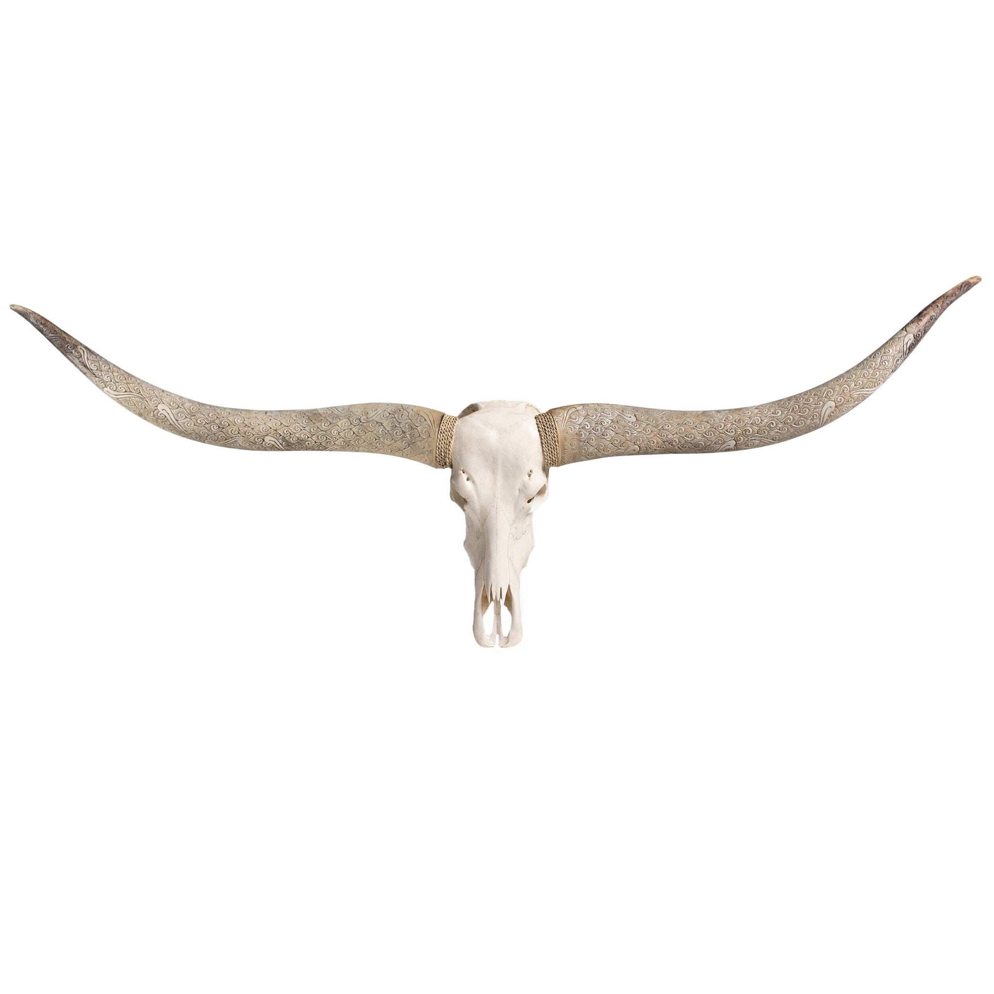Longhorn Skull // XL Horns - White Storm