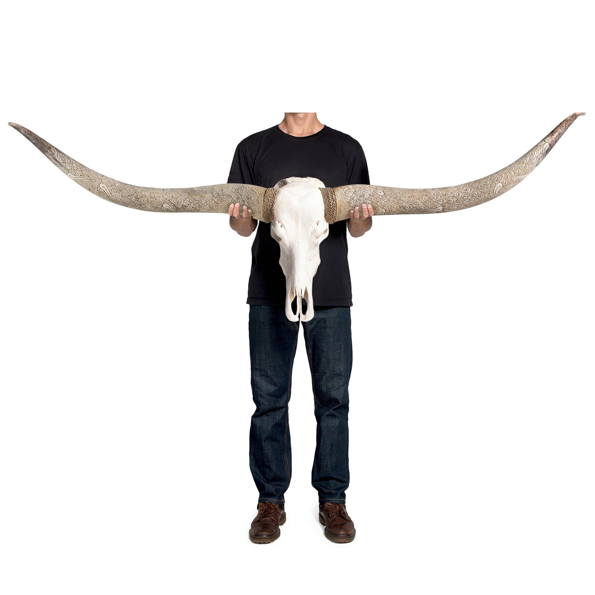 Longhorn Skull // XL Horns - White Storm