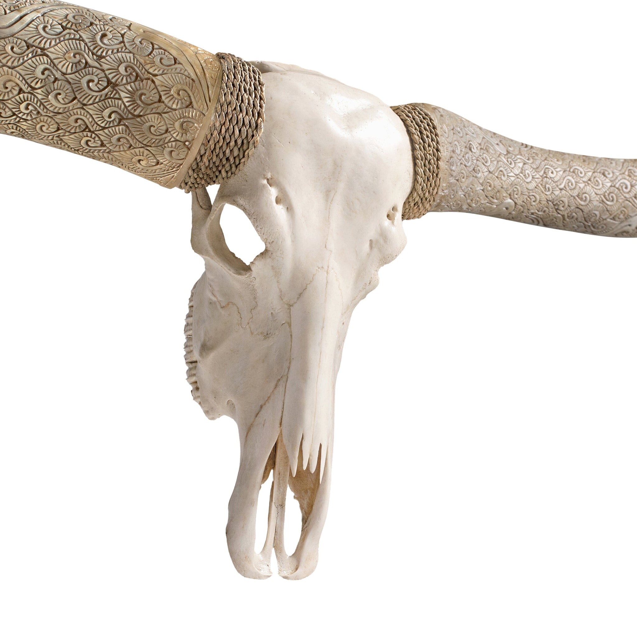 Longhorn Skull // XL Horns - White Storm