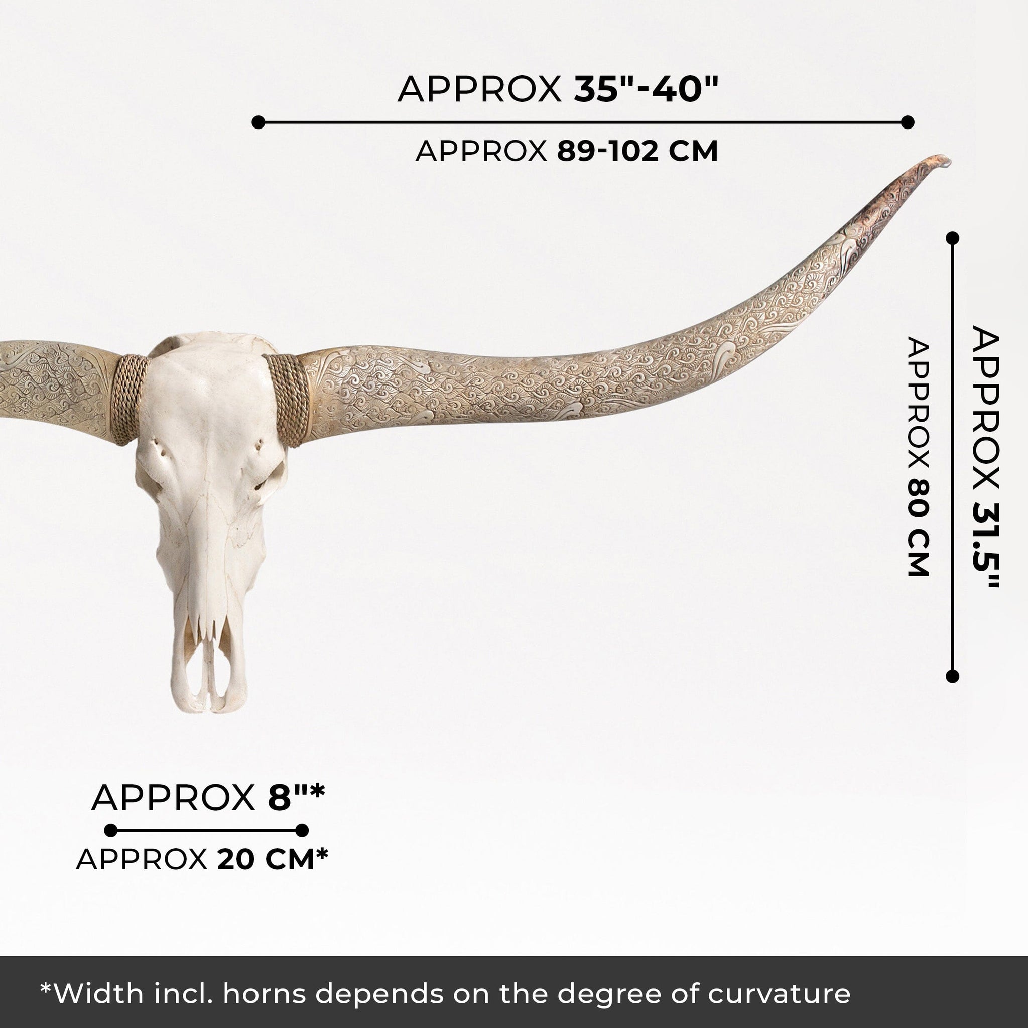 Longhorn Skull // XL Horns - White Storm