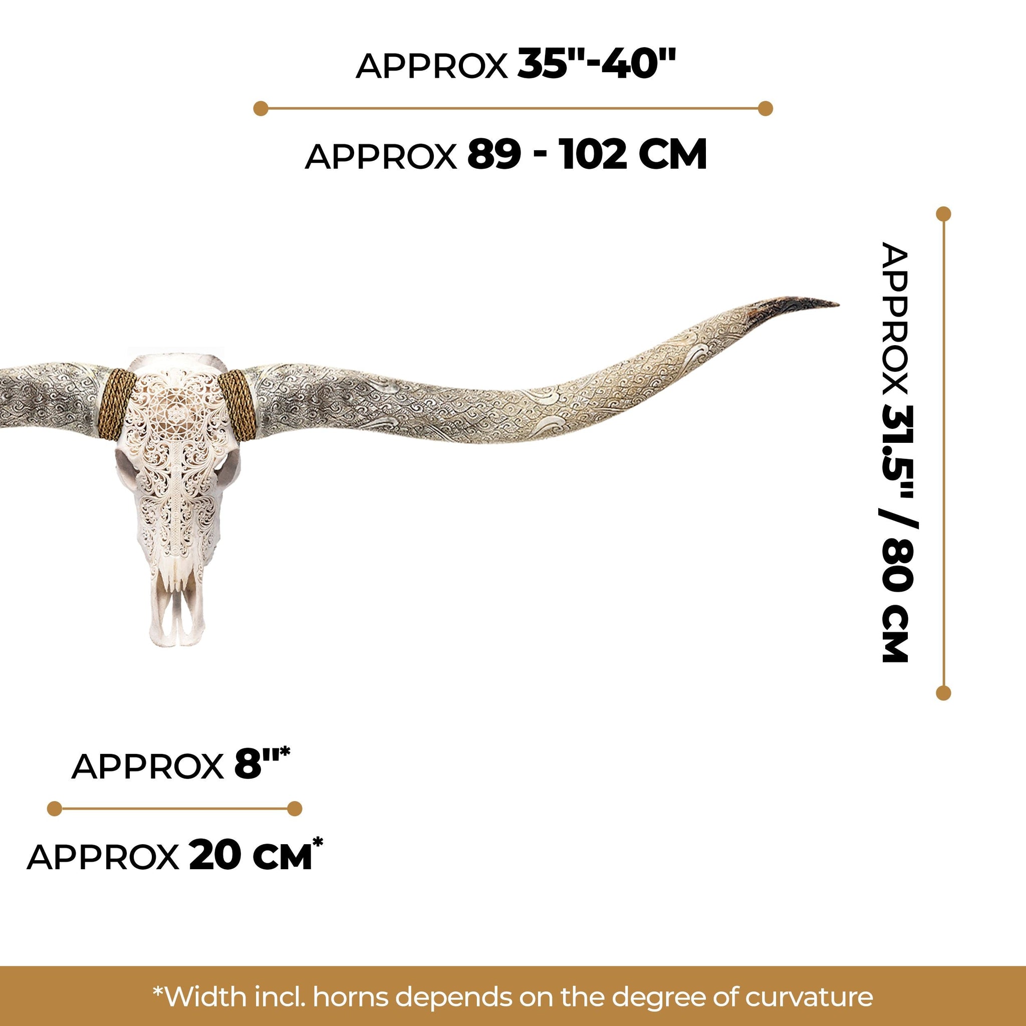 Hand Carved Longhorn Skull // XL Horns - White Sun