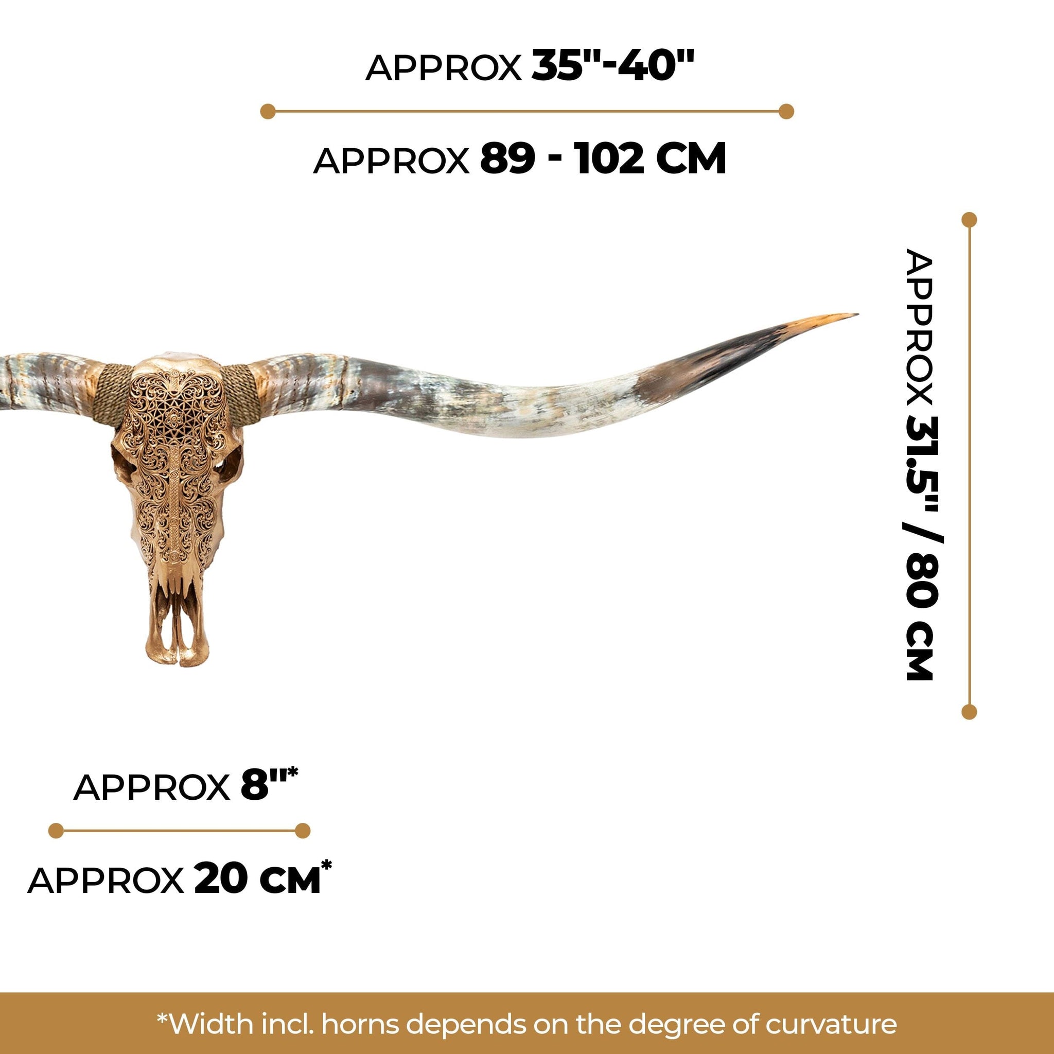 Hand Carved Longhorn Skull // XL Horns - Golden Sun