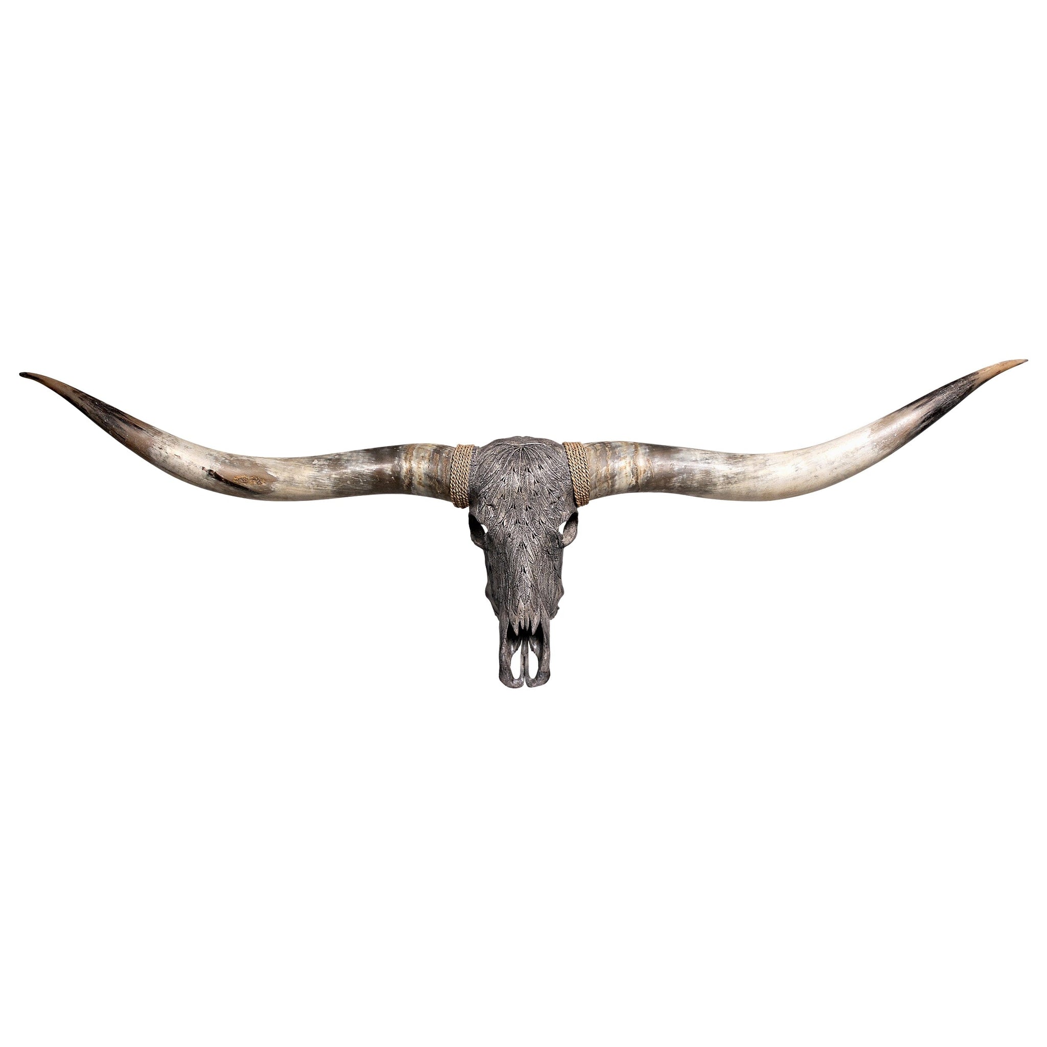 Hand Carved Longhorn Skull  // XL Horns - Gray Feathers