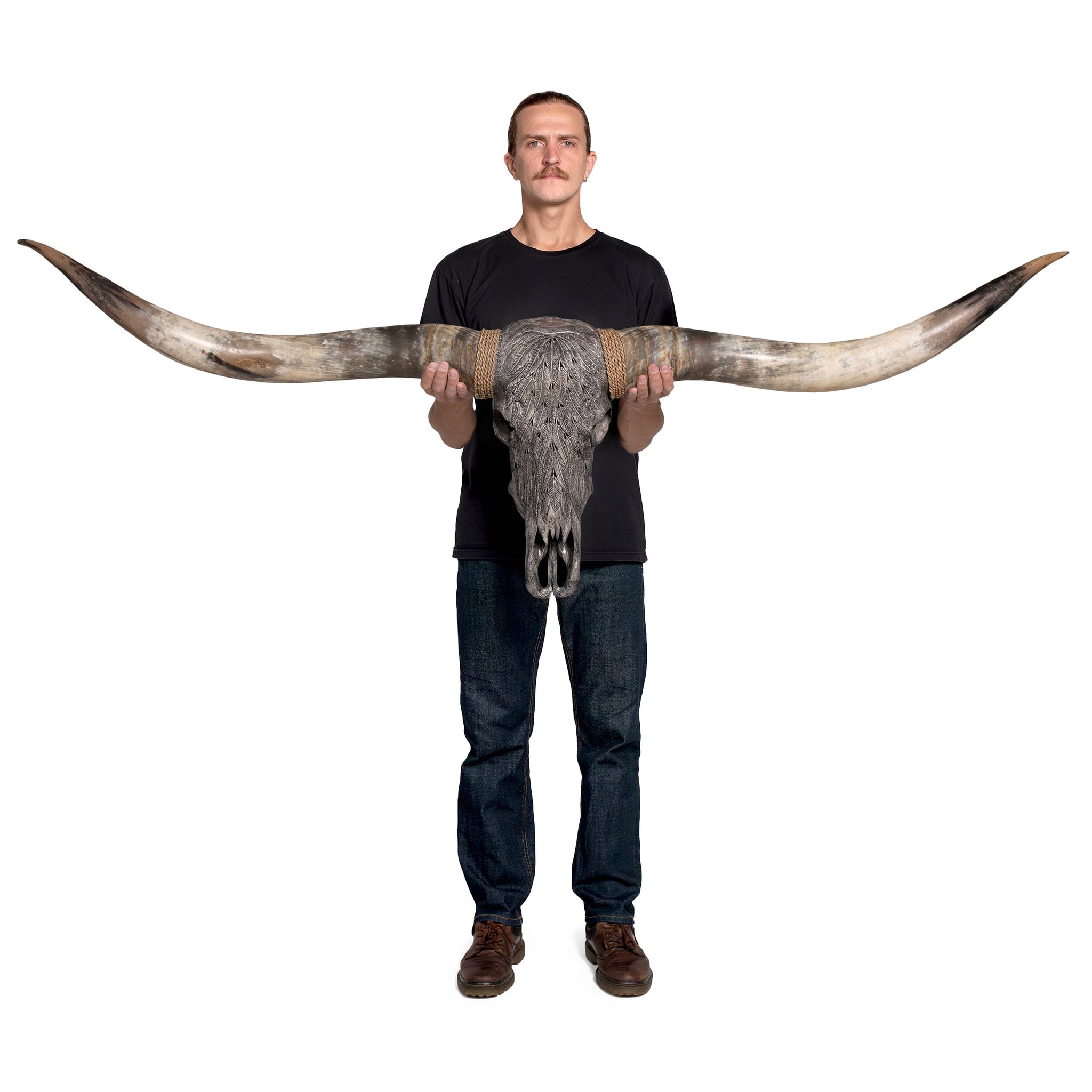 Hand Carved Longhorn Skull  // XL Horns - Gray Feathers