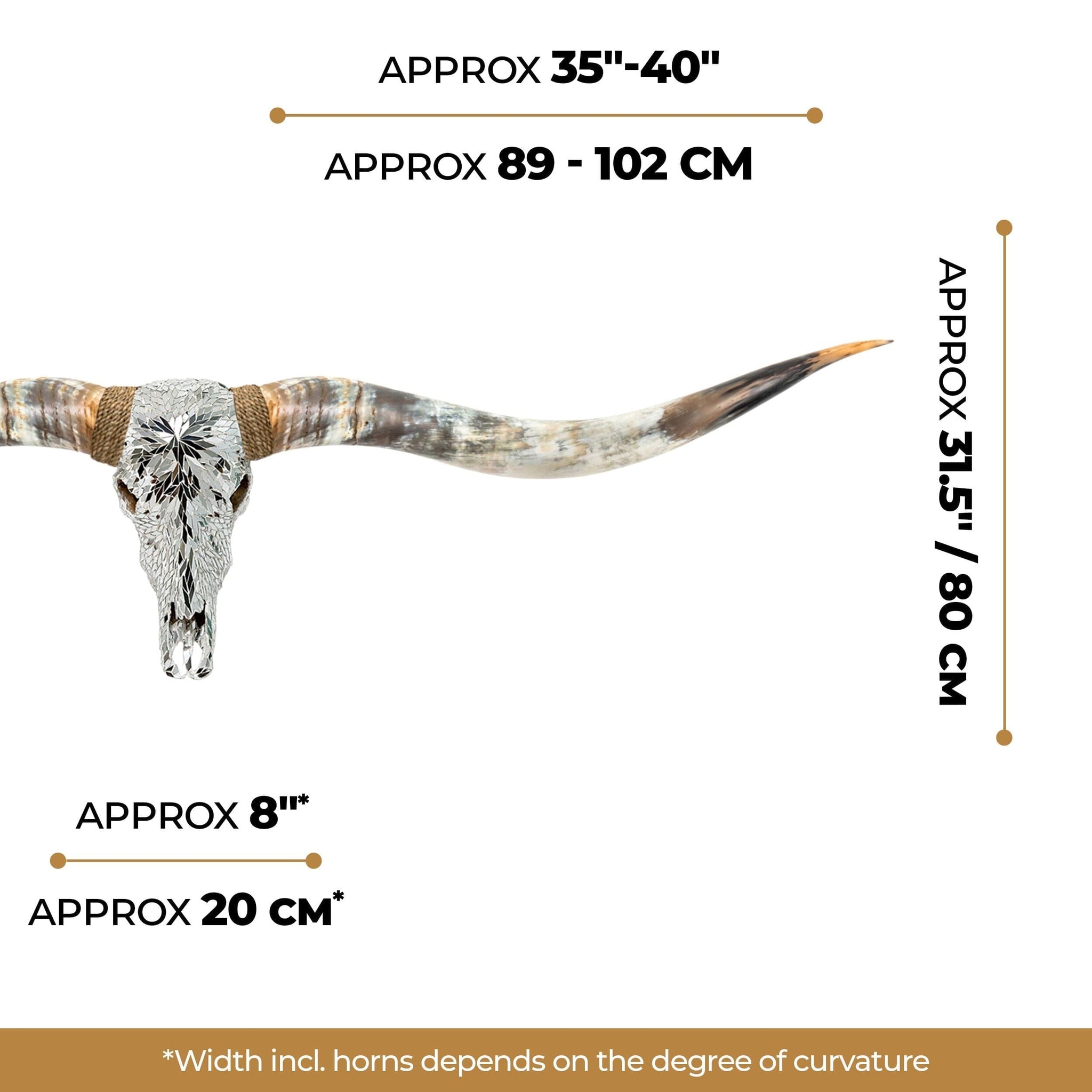 Longhorn Skull // XL Horns -  Mirror // Mosaic Finish