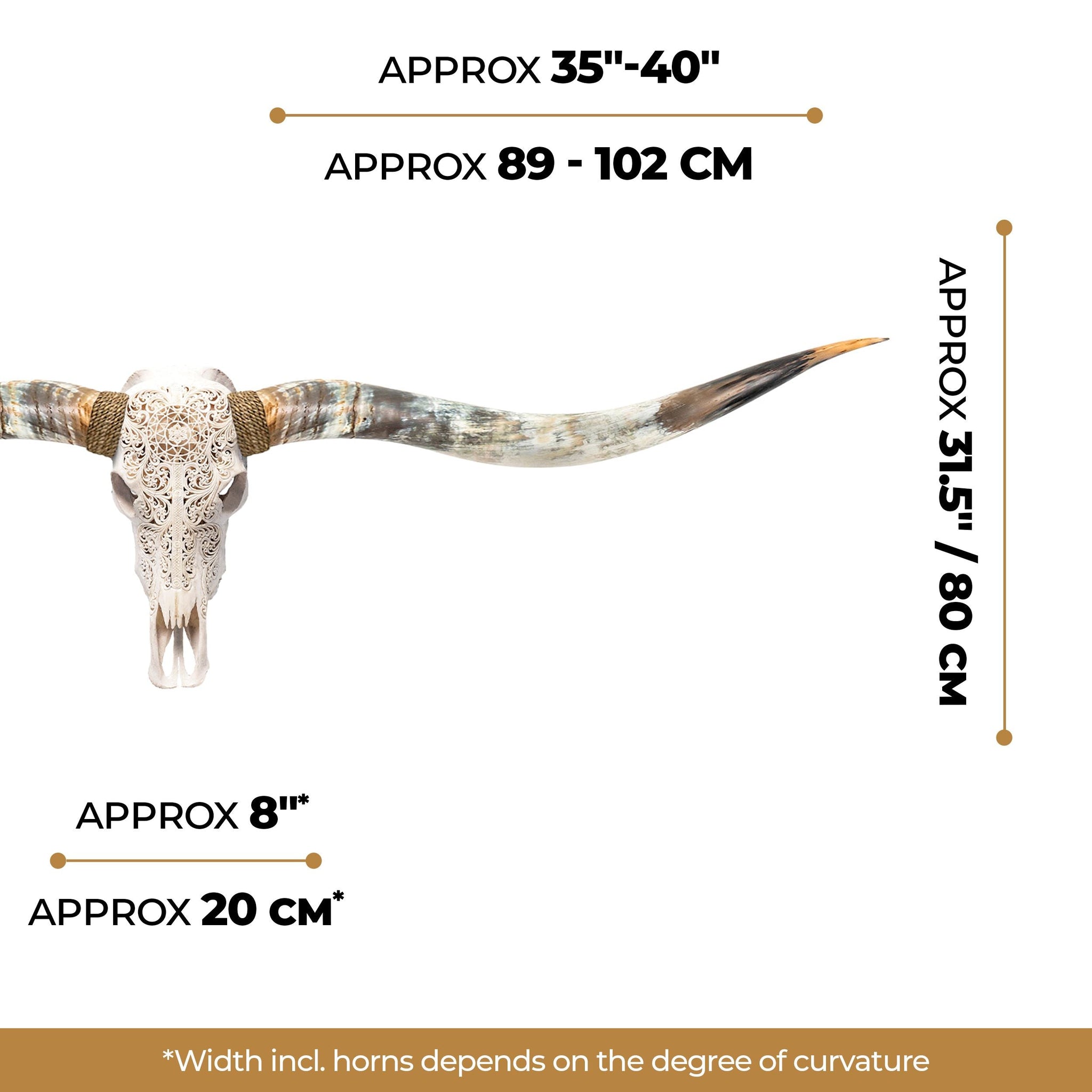 Hand Carved Longhorn Skull // XL Horns - White Sun