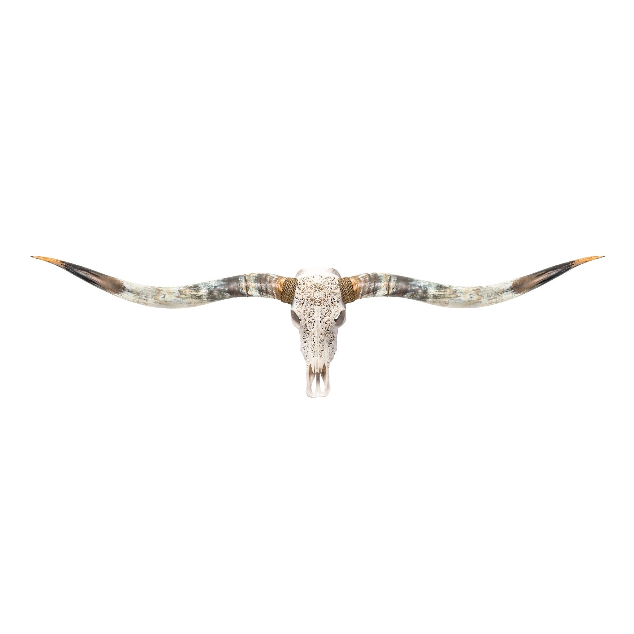 Hand Carved Longhorn Skull // XL Horns - White Sun