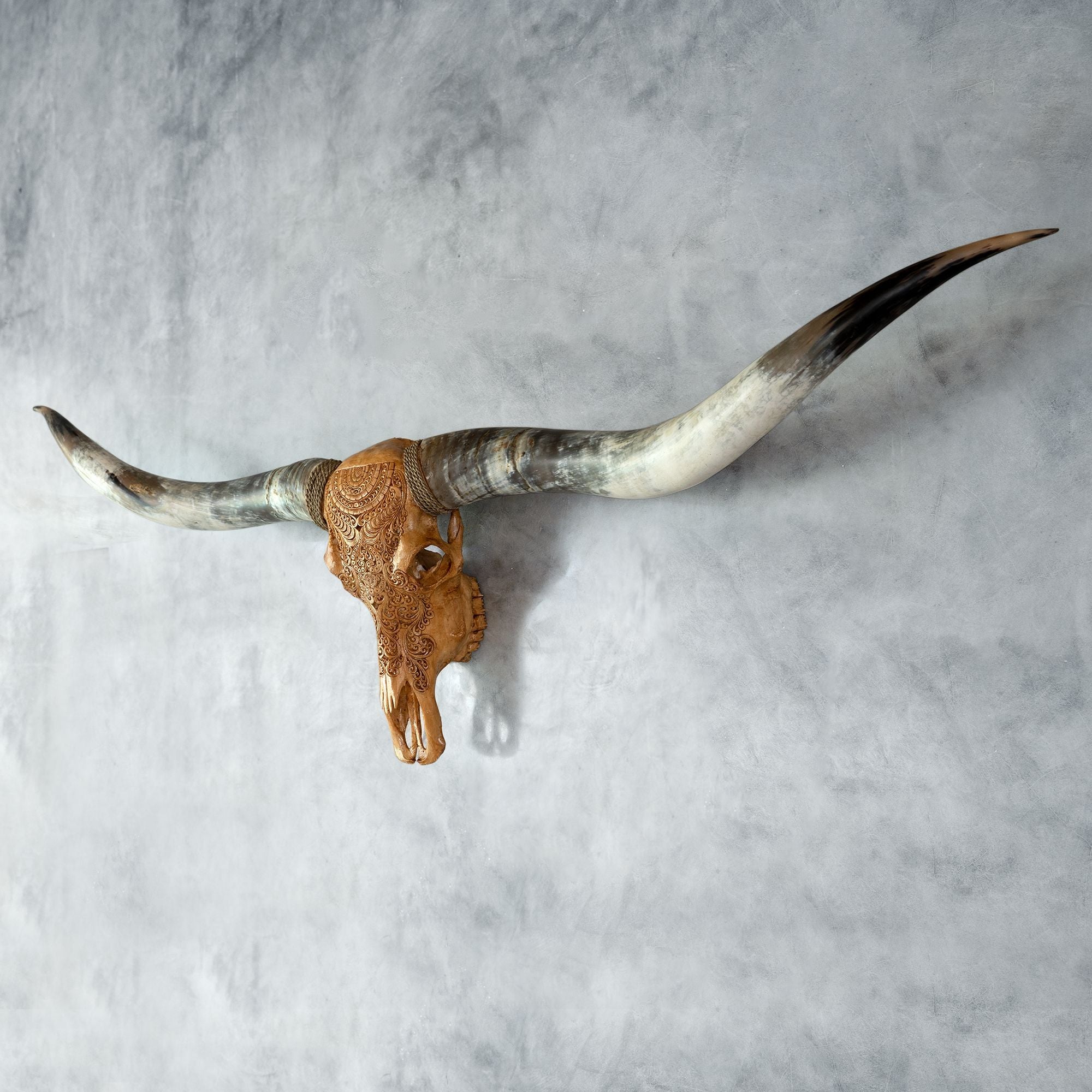 Hand Carved Longhorn Skull // XL Horns - Antique Boho