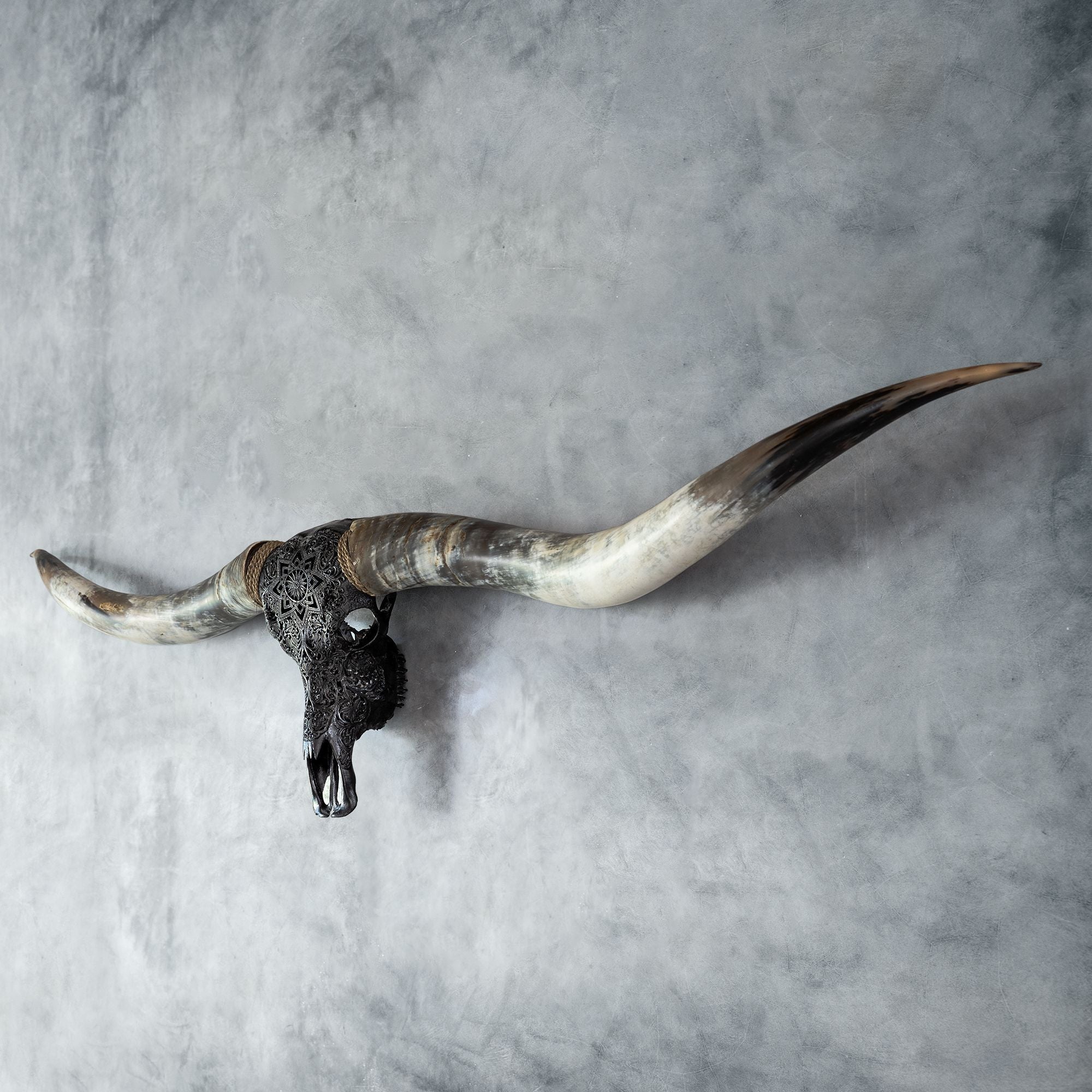 Hand Carved Longhorn Skull // XL Horns - Black Mandala
