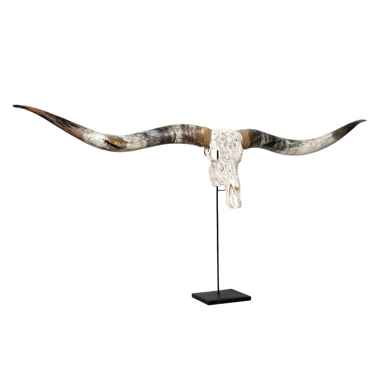XL Longhorn Skulls - Metallic Stand