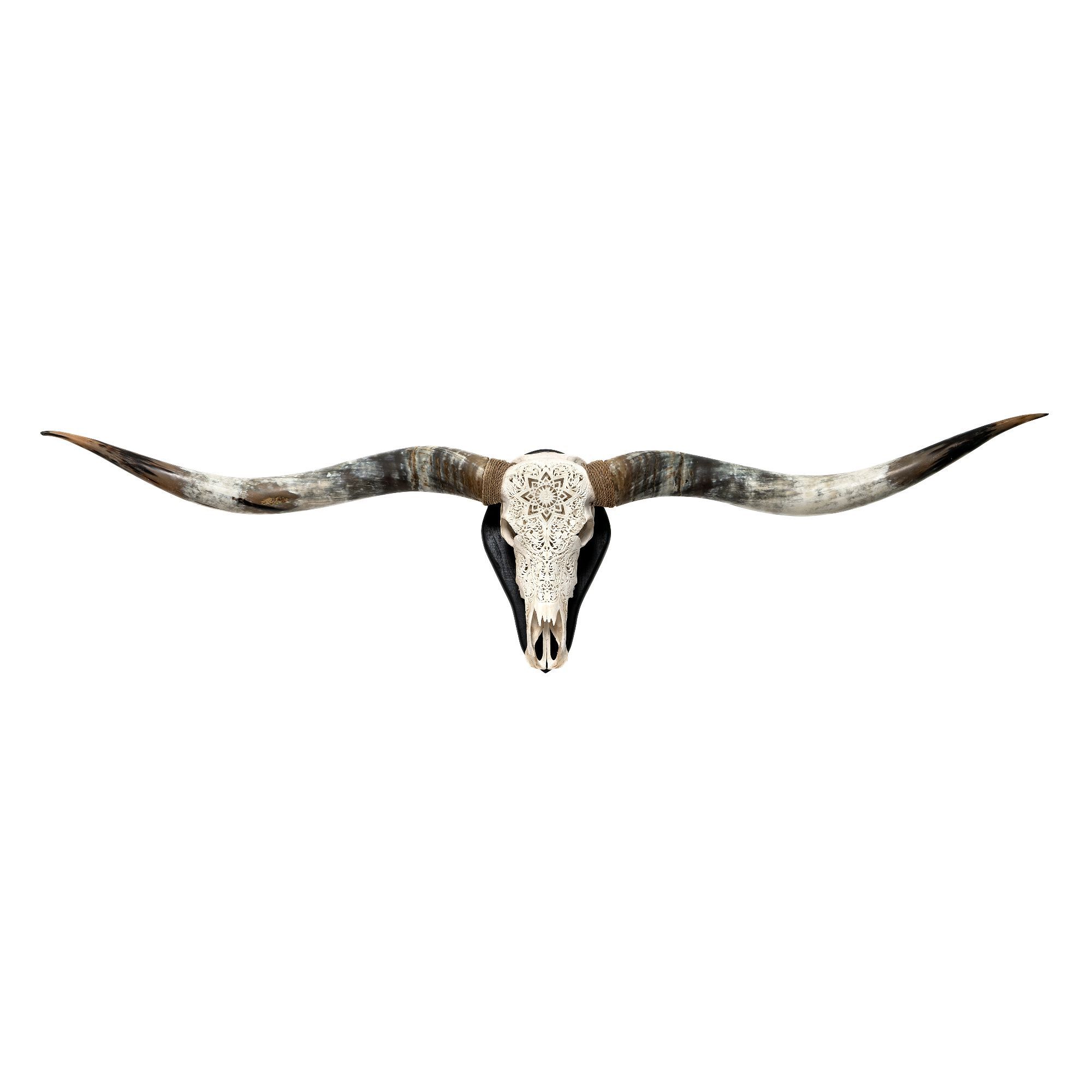 XL Longhorn Skulls - Wood Wall Mount