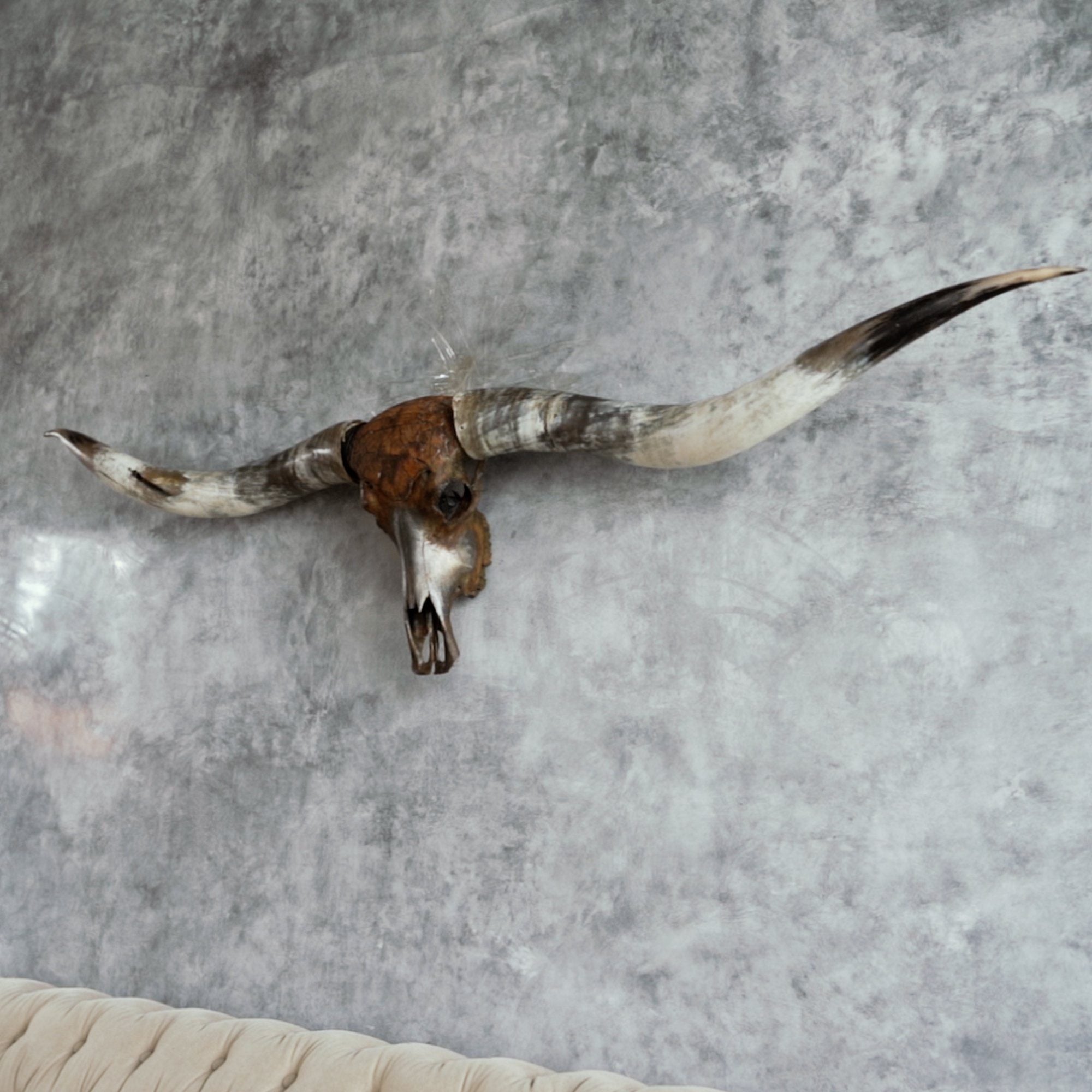 Hand Carved Longhorn Skull // XL Horns - Antique Boho