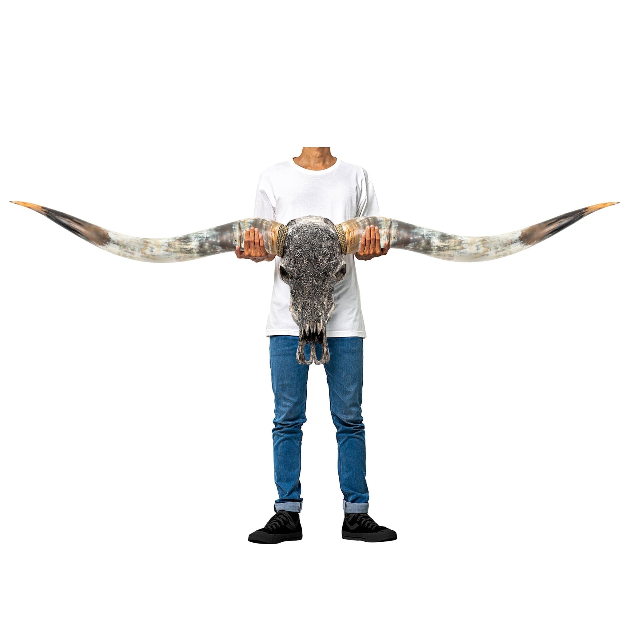 Hand Carved Longhorn Skull // XL Horns - Gray Fine Line