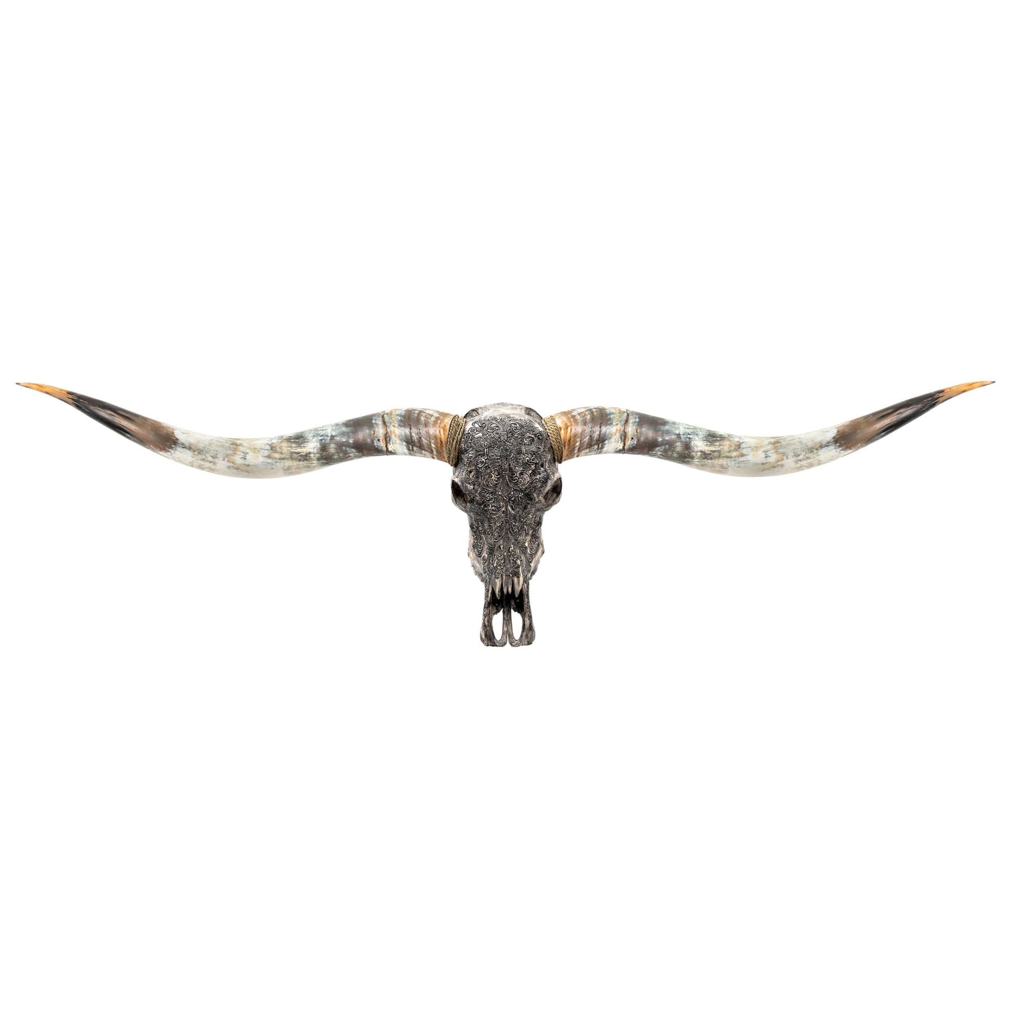 Hand Carved Longhorn Skull // XL Horns - Gray Fine Line