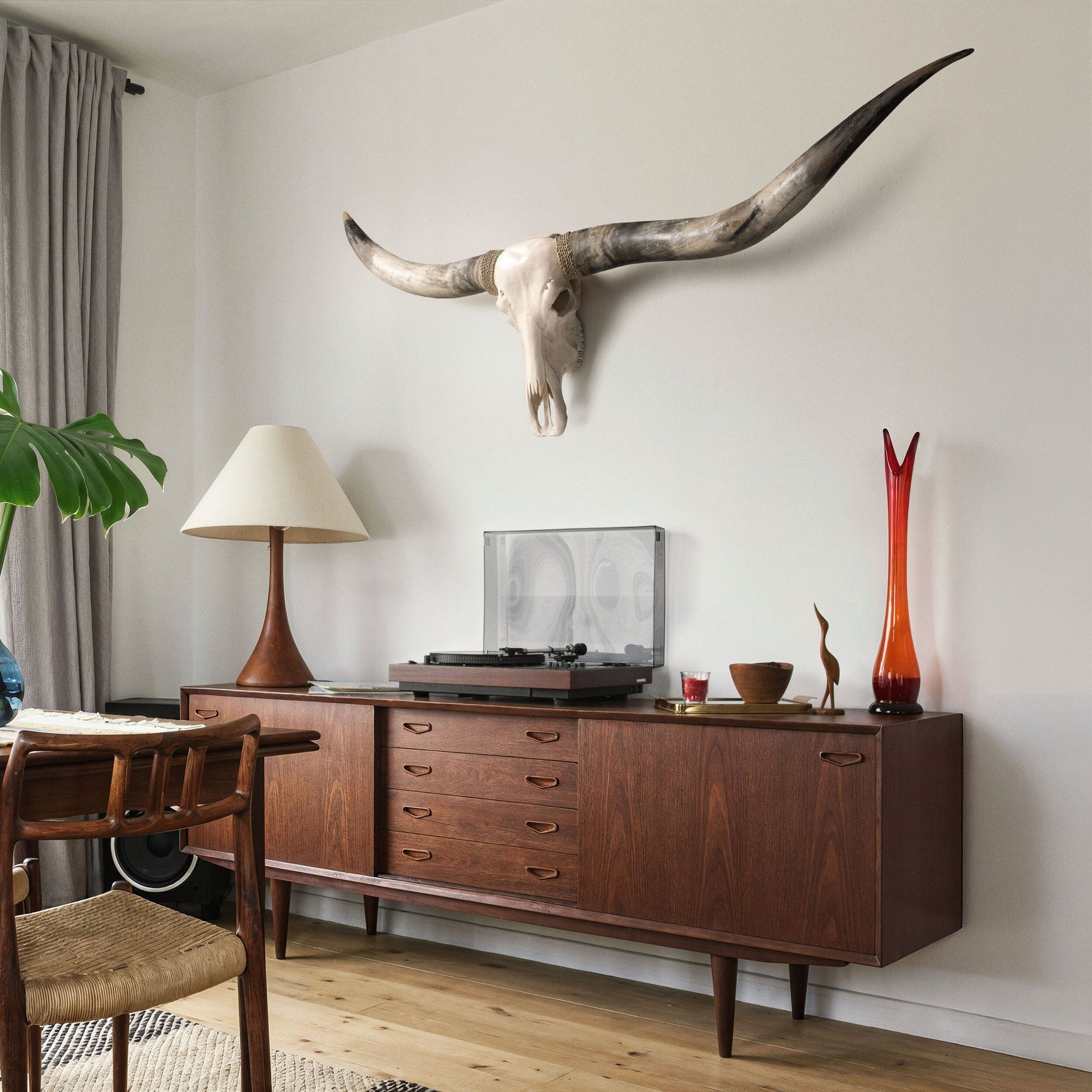 Longhorn Skull // XL Horns - White Storm