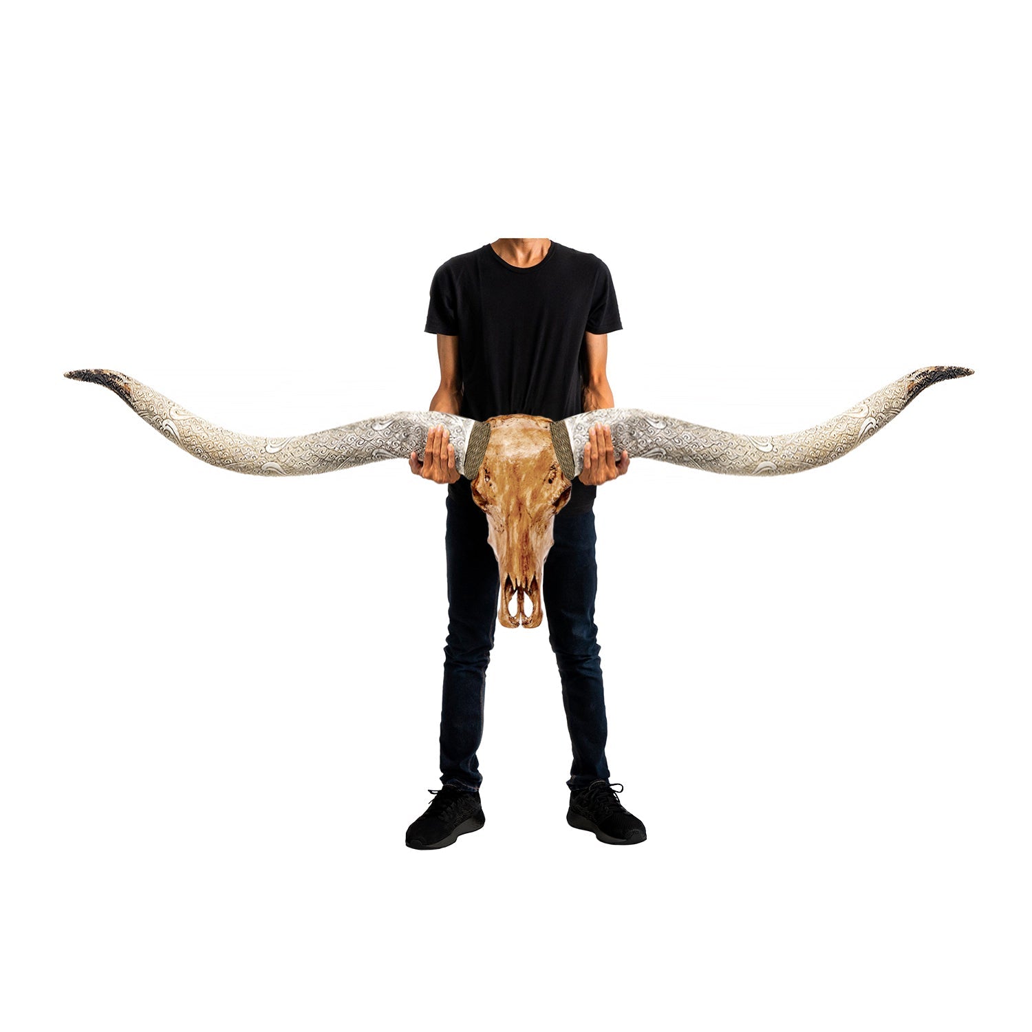 Longhorn Skull // XL Horns - Antique Storm