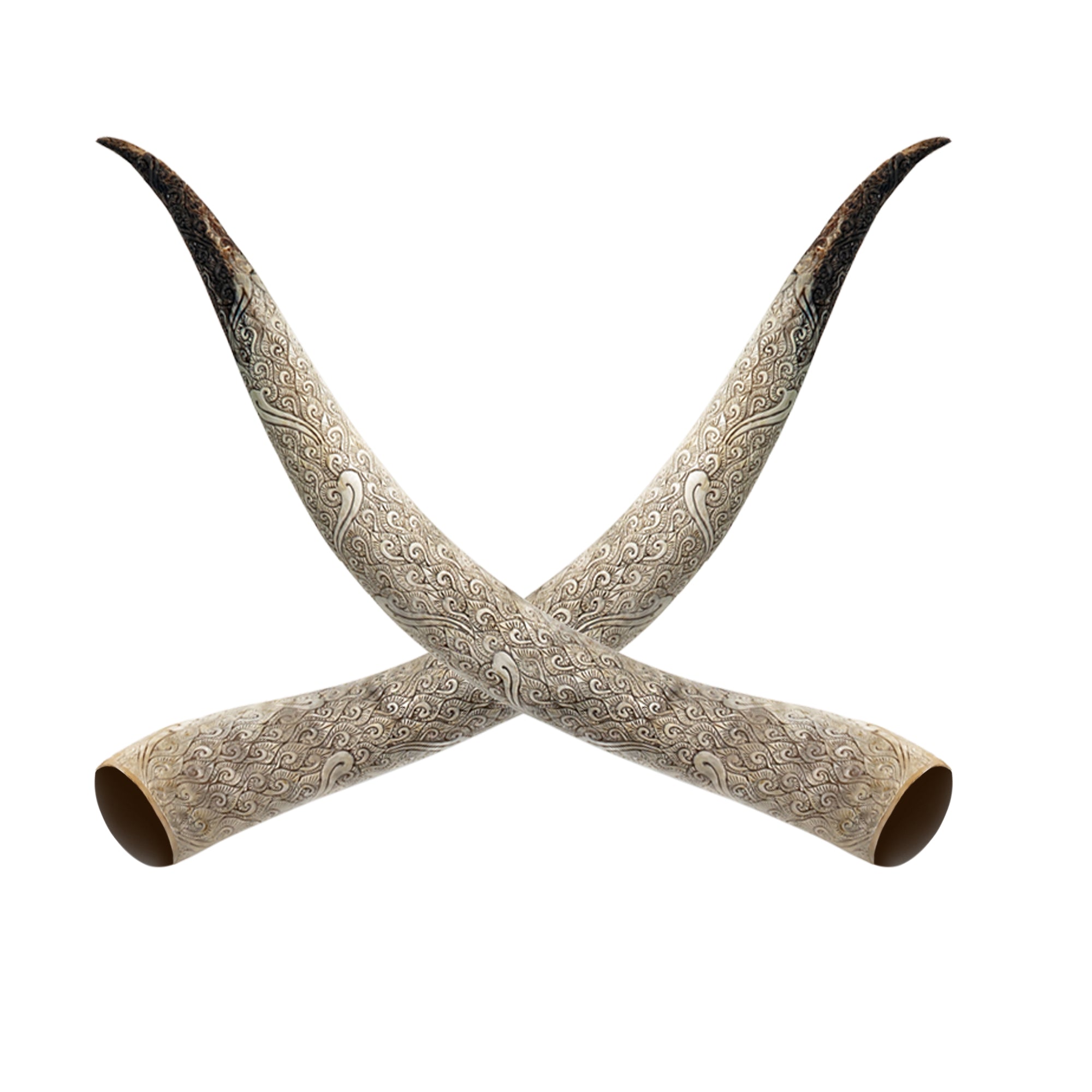 Hand Carved Longhorn Skull // XL Horns - Black Boho