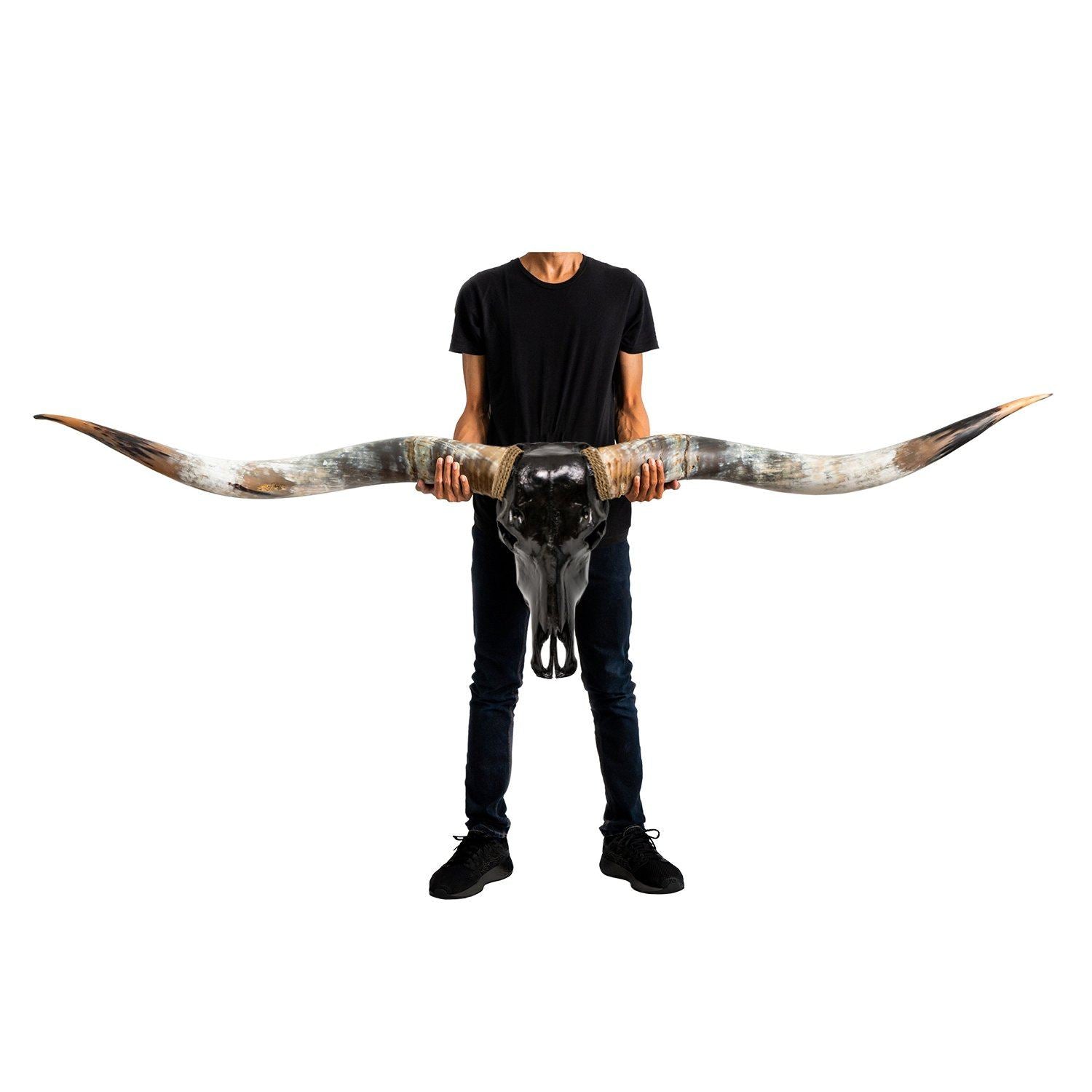 Longhorn Skull // XL Horns - Black Storm