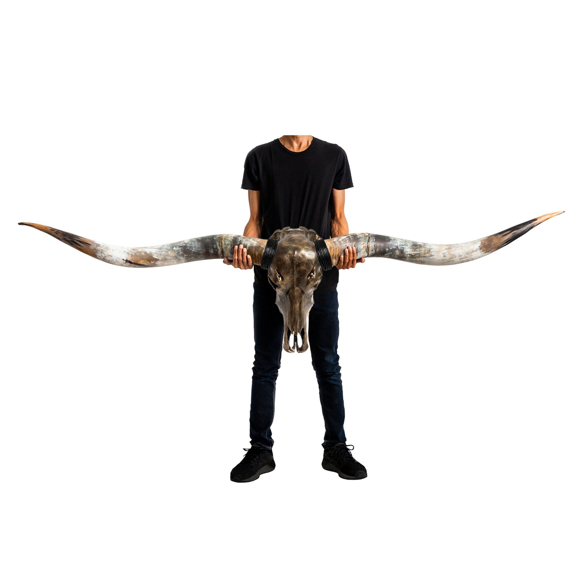 Longhorn Skull // XL Horns - Antique Bronze Storm // Metallic Finish