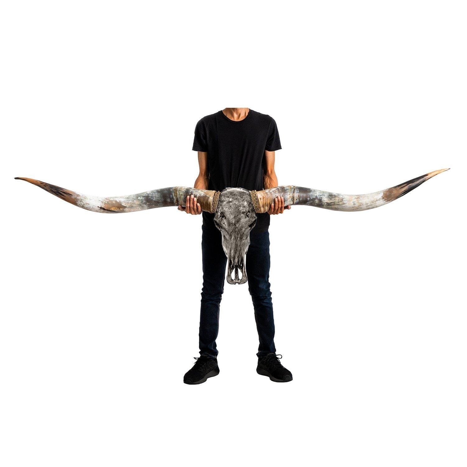 Longhorn Skull // XL Horns - Gray Storm