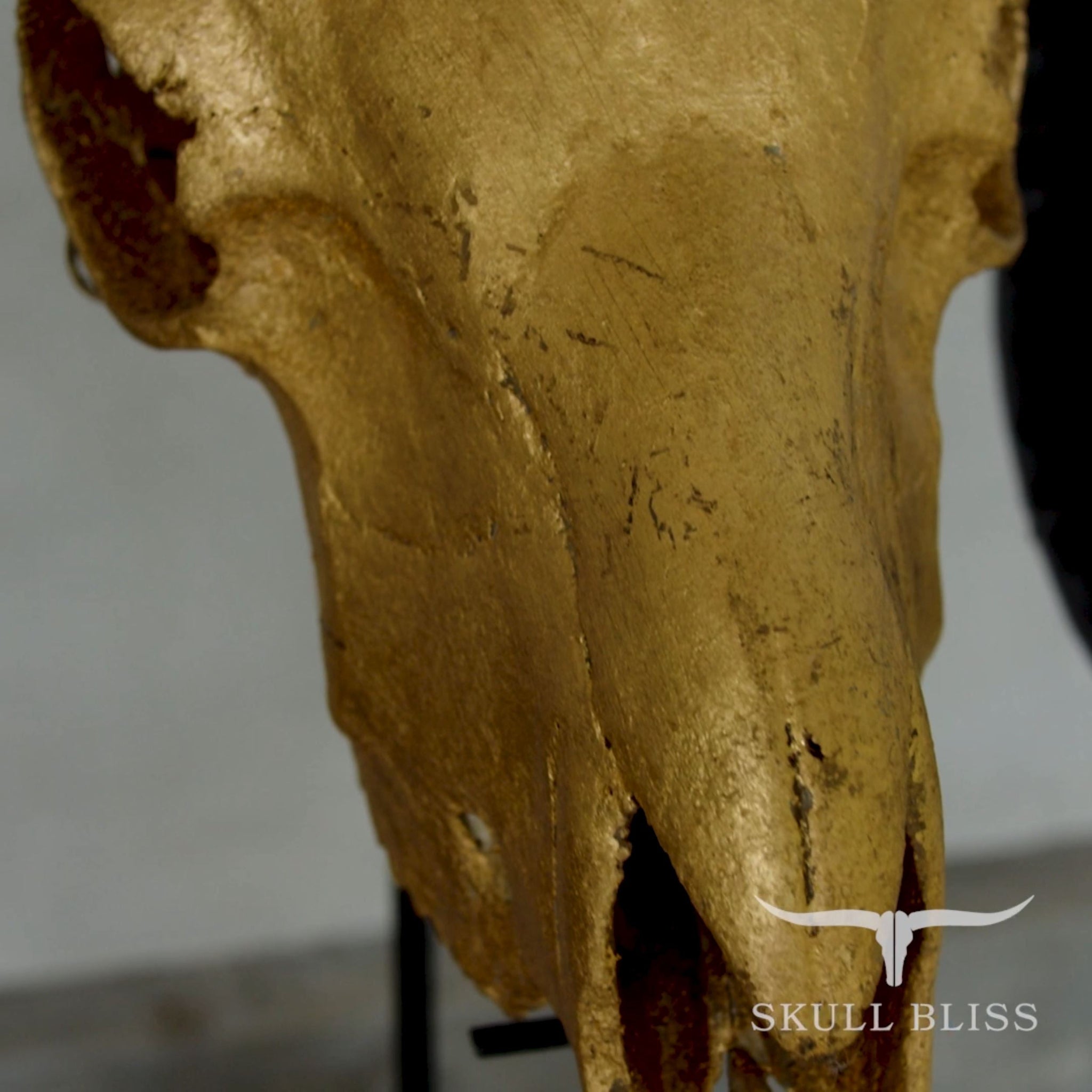 Ram Skull - Gold Leaf Storm