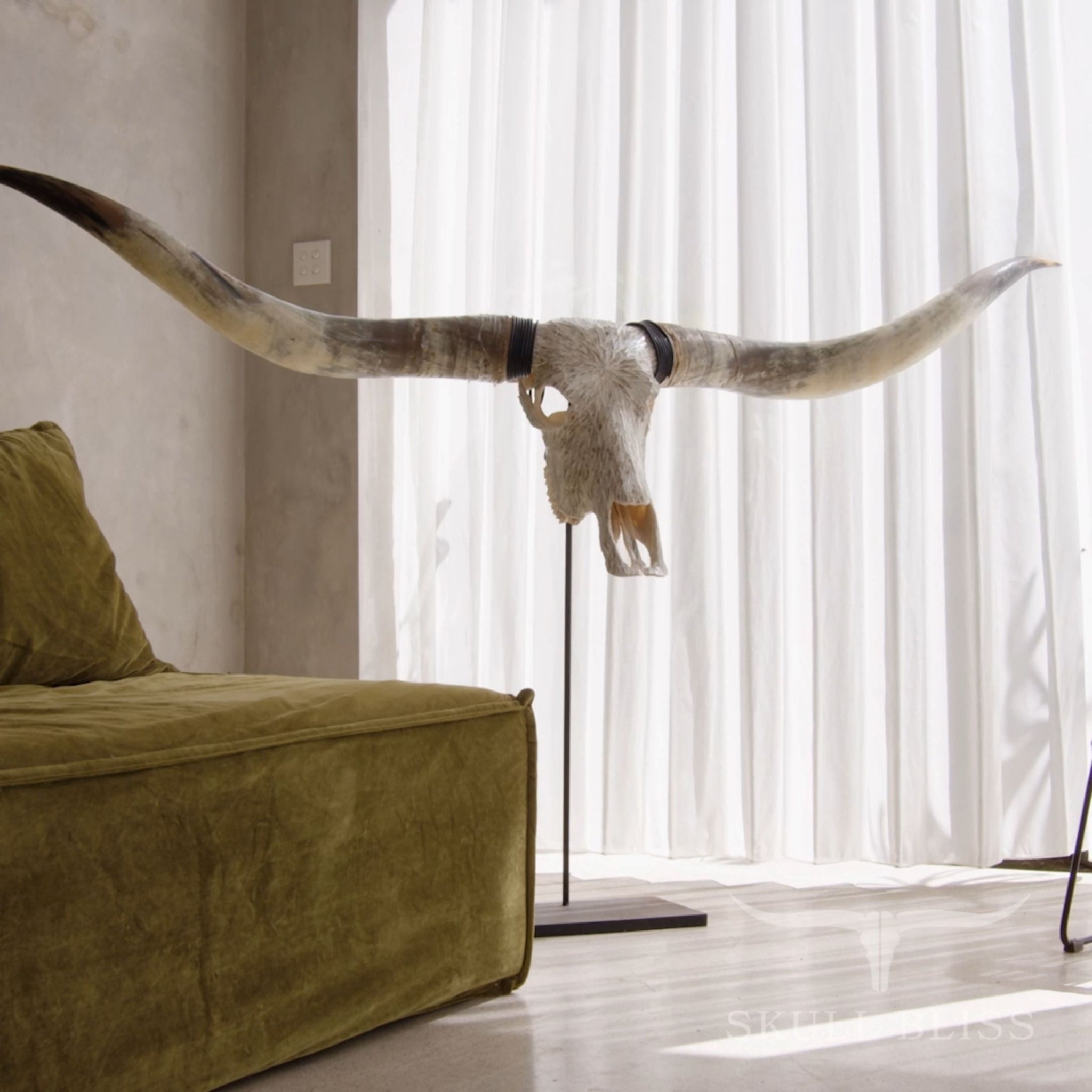 Longhorn Skull // XL Horns - Beige Mirror // Mosaic Finish