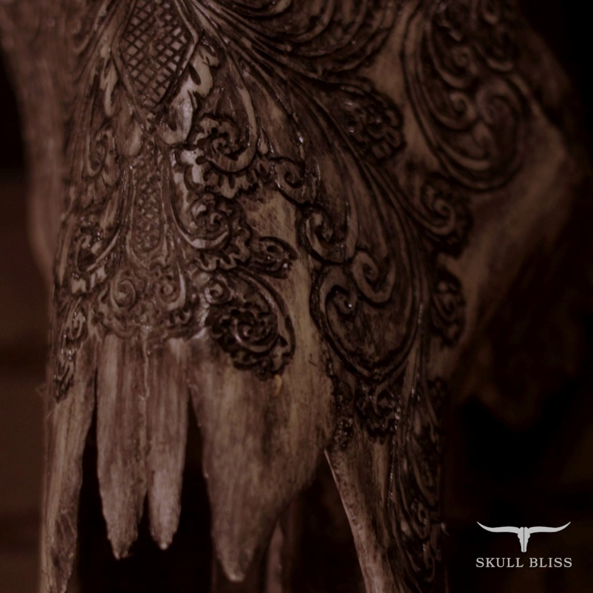 Hand Carved Longhorn Skull - Gray Fine Line